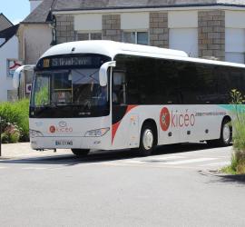 transport
