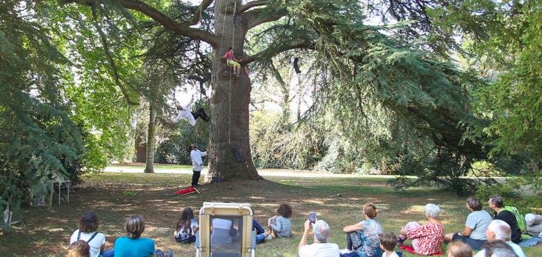 photo compagnie des arbres